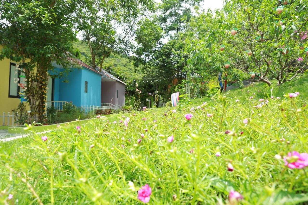 Windy Hill Catba Homestay Haiphong Exterior foto