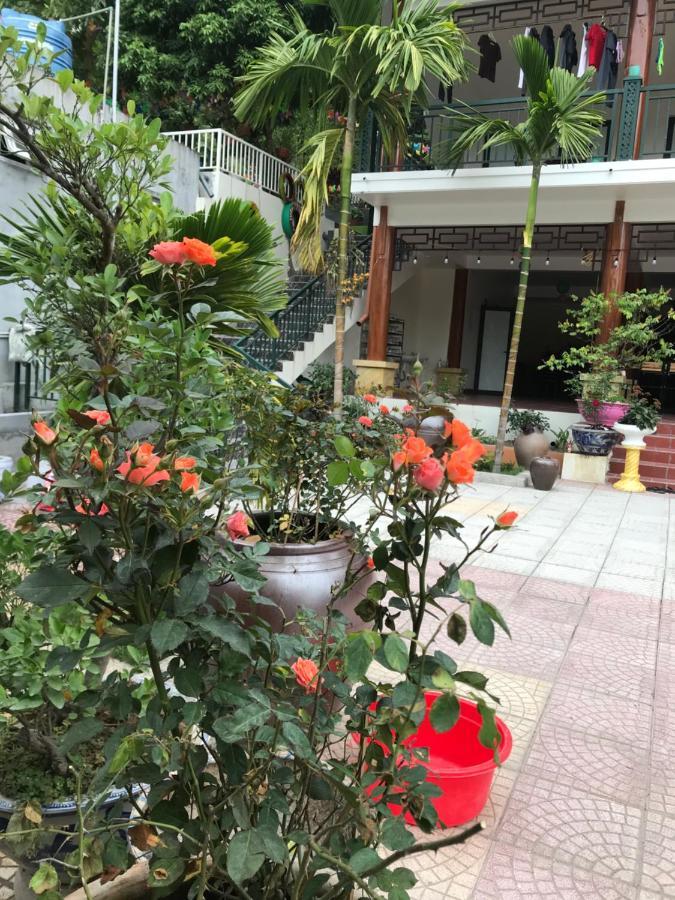 Windy Hill Catba Homestay Haiphong Exterior foto